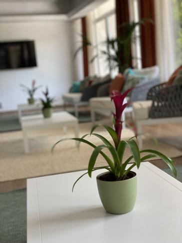 Osprey Menorca Hotel | Cala en Porter, Alaior | Photos 18